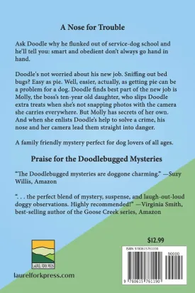 Bed-Bugged (Doodlebugged Mysteries) Paperback  February 15, 2013