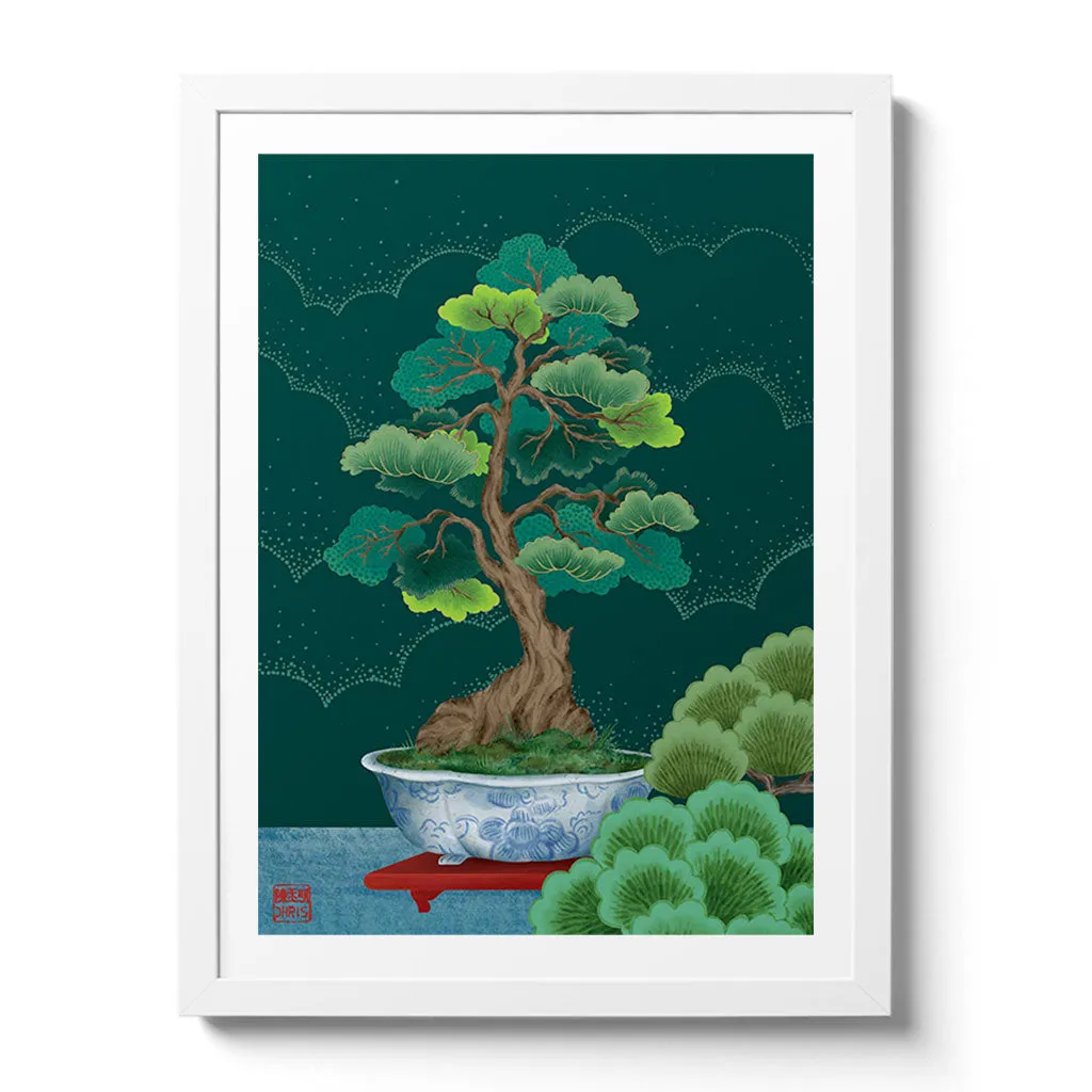 Bonsai