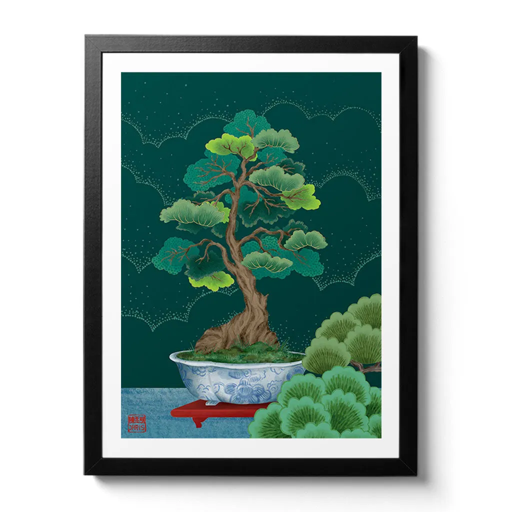 Bonsai