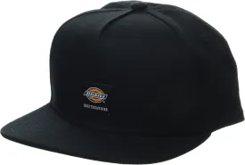 Dickies mens Skateboarding Mid Pro Cap