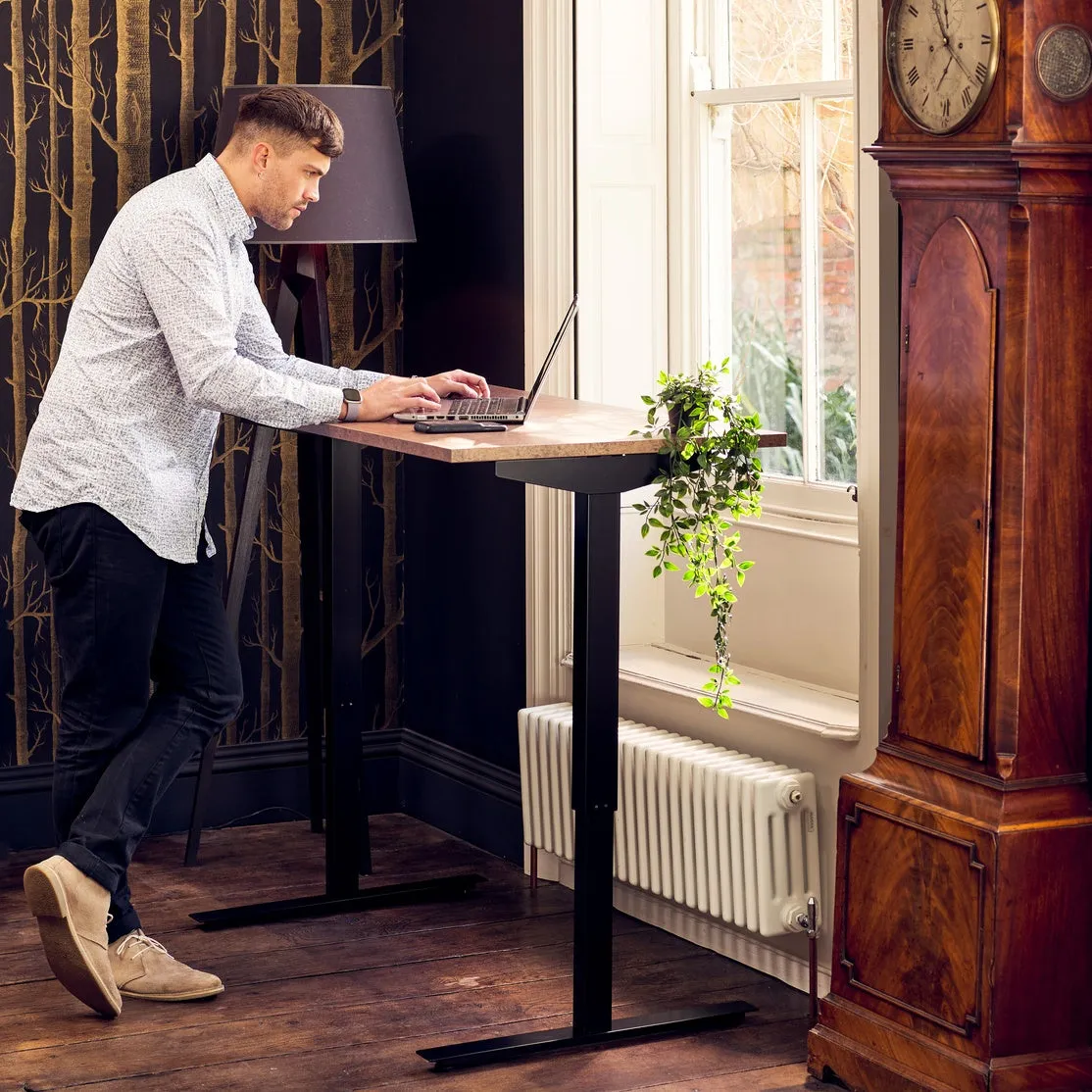 Eskön Single Motor Standing Desk
