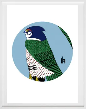 Falcon