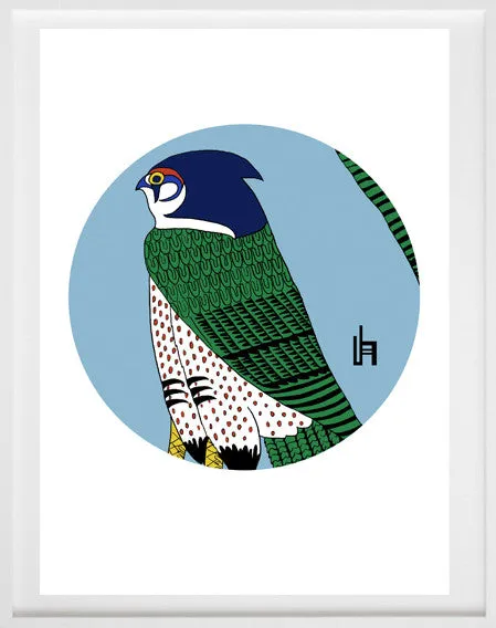 Falcon