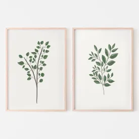Foliage Leaves Art Print - Set of 2