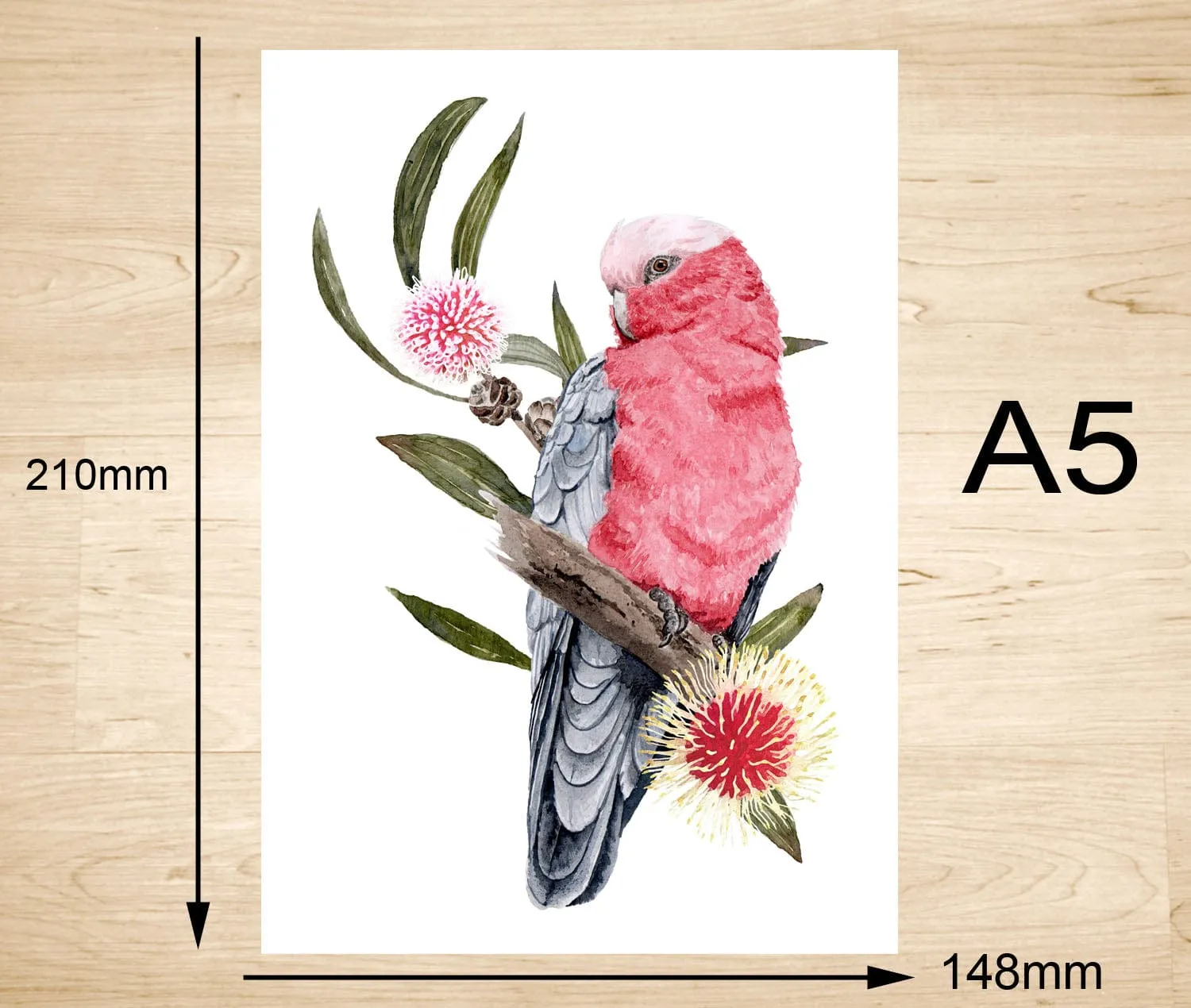 Galah Art Print Front