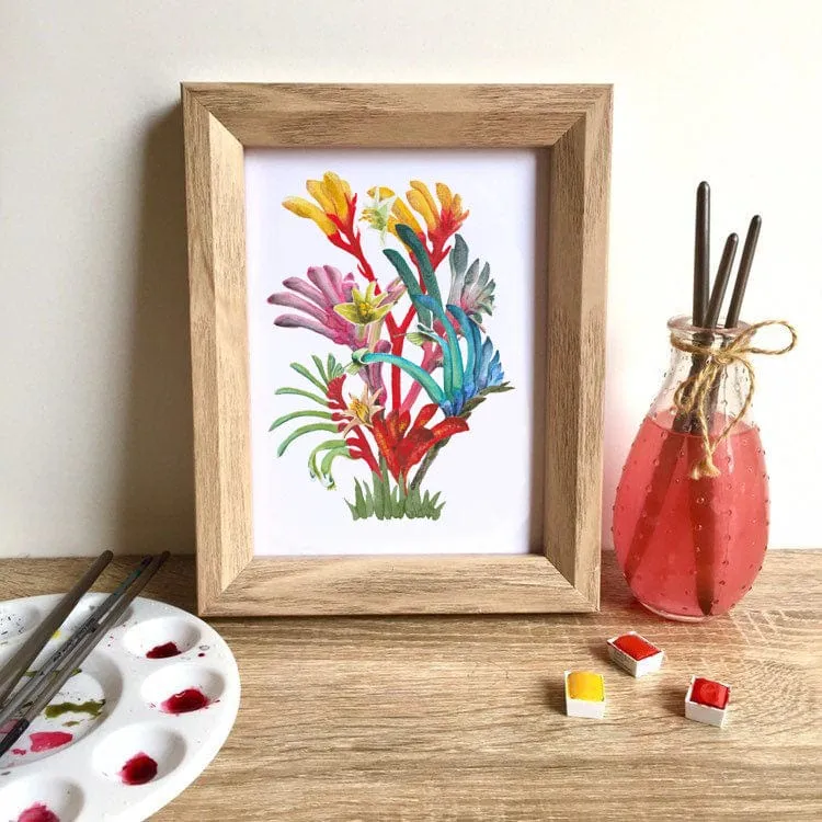 Kangaroo Paws Art Print