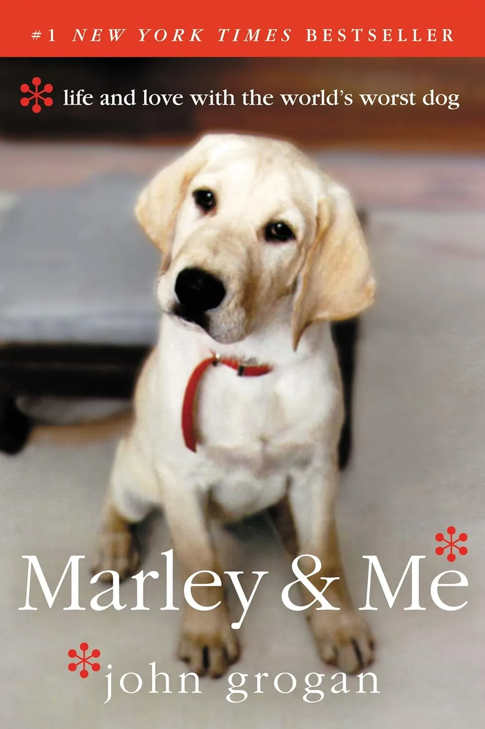 Marley & Me: Life and Love with the World's Worst Dog Paperback  March 11, 2008