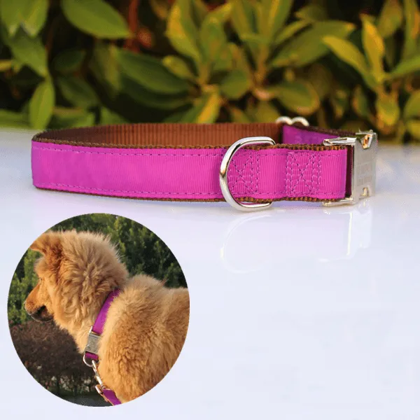 Personalised Collar - Laser Engraved, Metal Buckle, Nylon and Coloured Ribbon