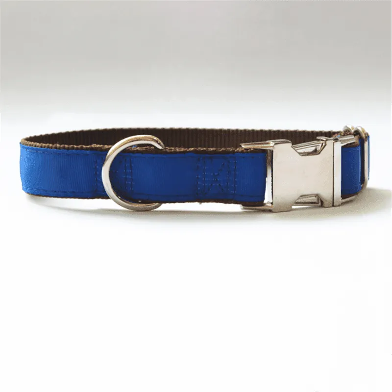 Personalised Collar - Laser Engraved, Metal Buckle, Nylon and Coloured Ribbon