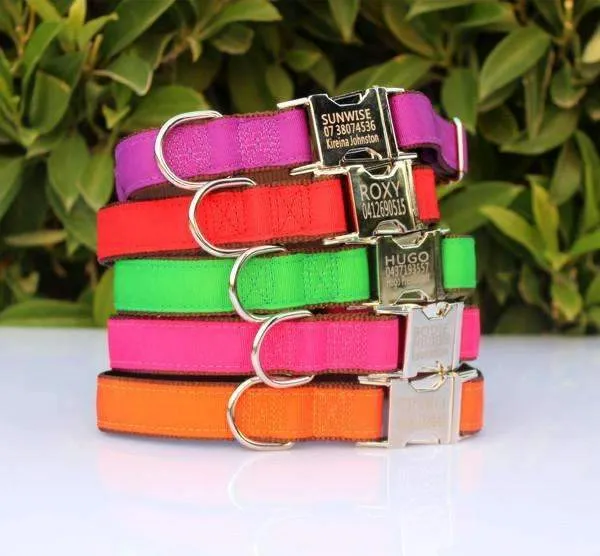 Personalised Collar - Laser Engraved, Metal Buckle, Nylon and Coloured Ribbon
